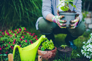 Garden Services Burnley