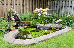 Garden Pond Installation