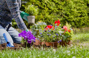 Garden Services Leicester