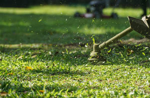 Gardener Clevedon