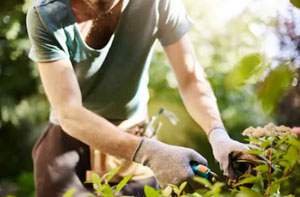 Gardeners in the Hailsham Area