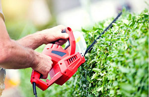 Gardeners in Ottery St Mary