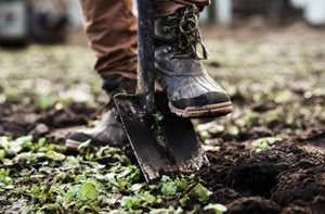 Gardening Services Rye East Sussex