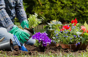 Gardening Services Blackwater Hampshire