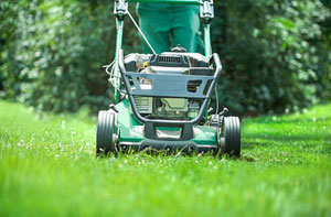 Lawn Care Blantyre (01698)