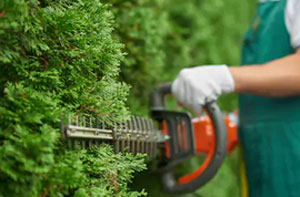 Gardening Services Hucknall Nottinghamshire