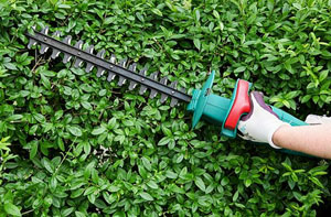 Hedge Cutting Hucknall (NG15)