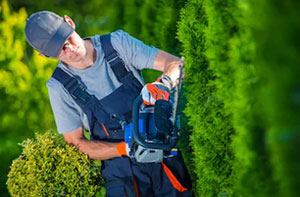 Hedge Cutting Swinton (M27)