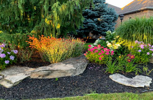 Newmarket Landscaped Garden Ideas