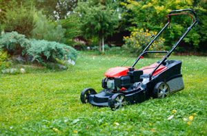 Lawn Care Lindfield (01444)