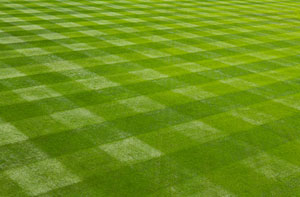 Lawn Care Louth (01507)