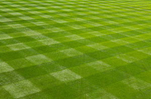 Lawn Care Barnton (01606)