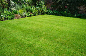 Lawn Care Erskine (Dialling code	0141)