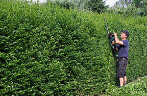 Gardening Services Eastwood Nottinghamshire