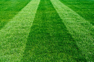 Lawn Care Reepham (01603)