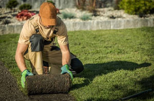 Gardener Gorseinon Wales