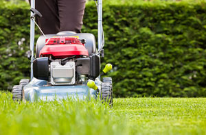 Gardeners in Dersingham